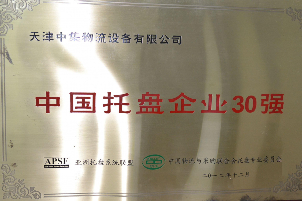中國托盤企業(yè)30強